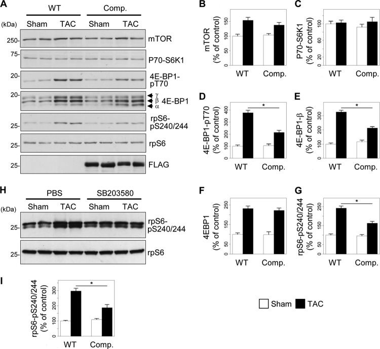 Fig 10