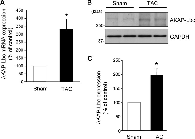 Fig 13