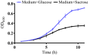 FIG 2