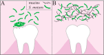FIG 6