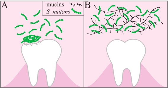 FIG 6