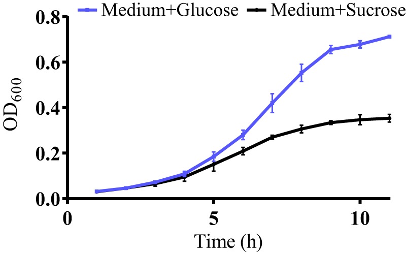 FIG 2