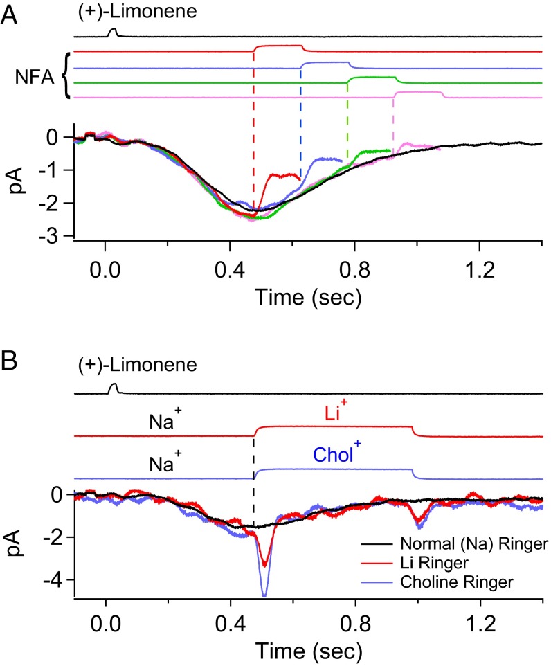 Fig. 7.