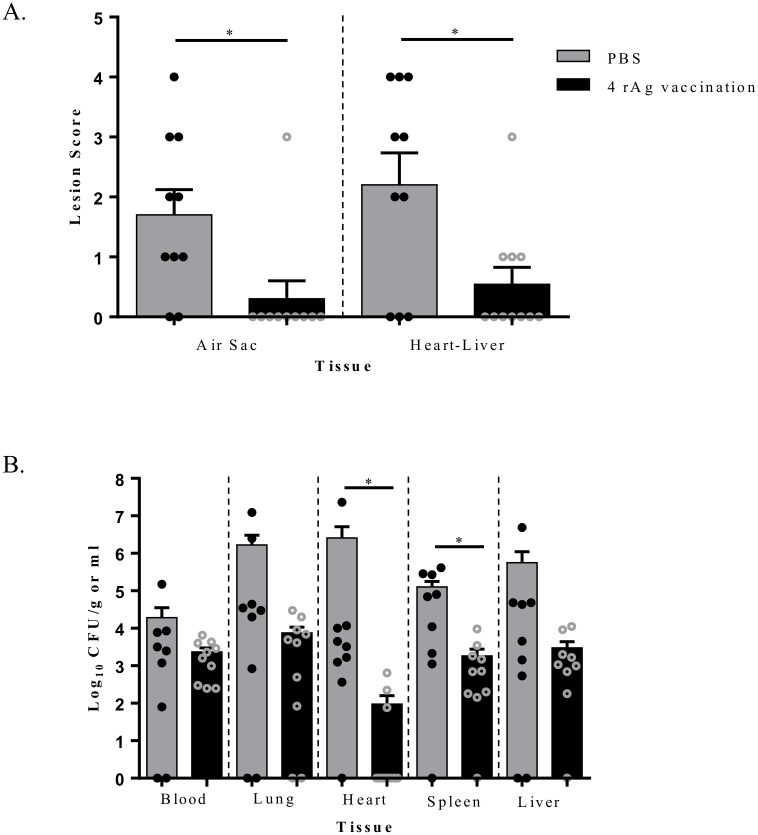 Fig 4