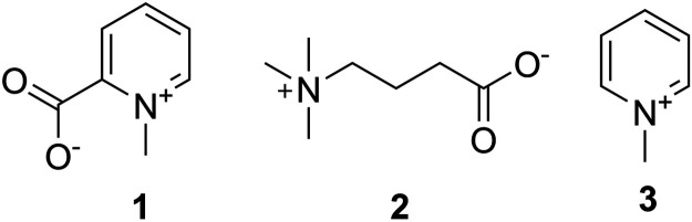 FIGURE 3