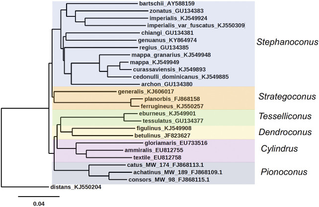 FIGURE 2