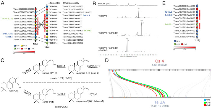 Fig. 2.