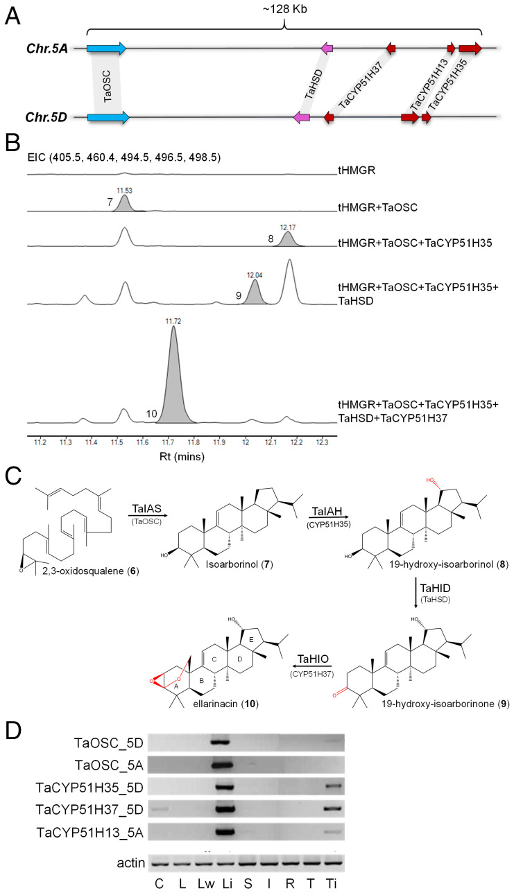 Fig. 3.