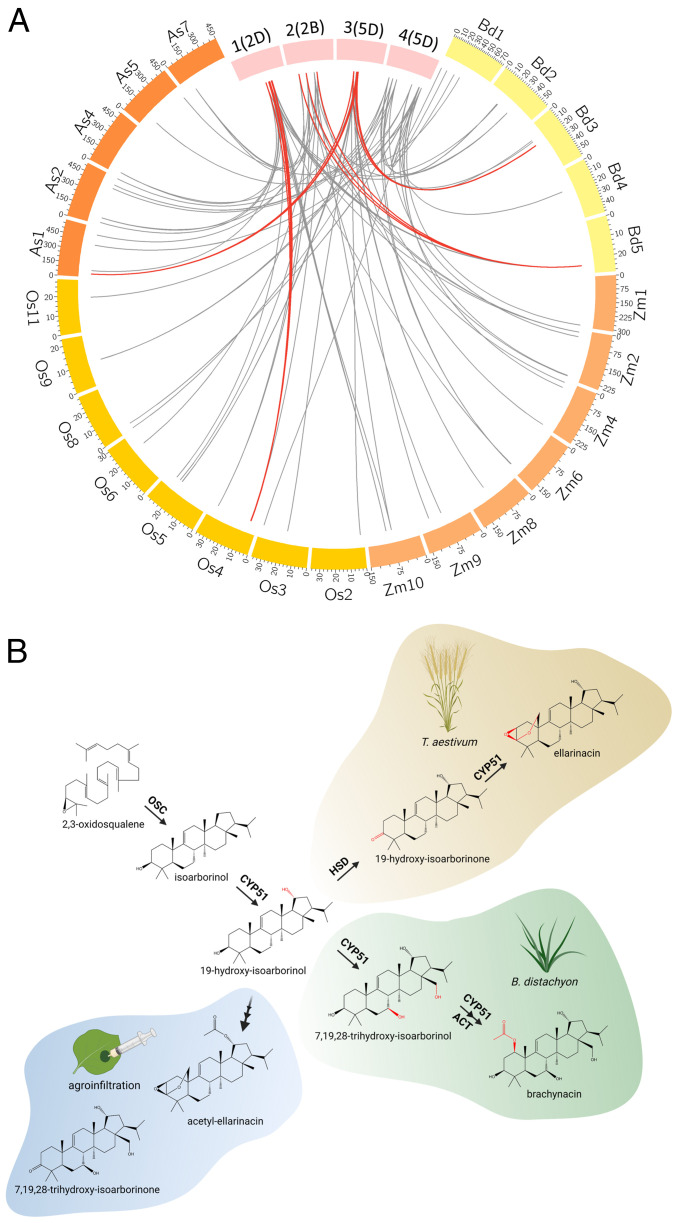 Fig. 7.