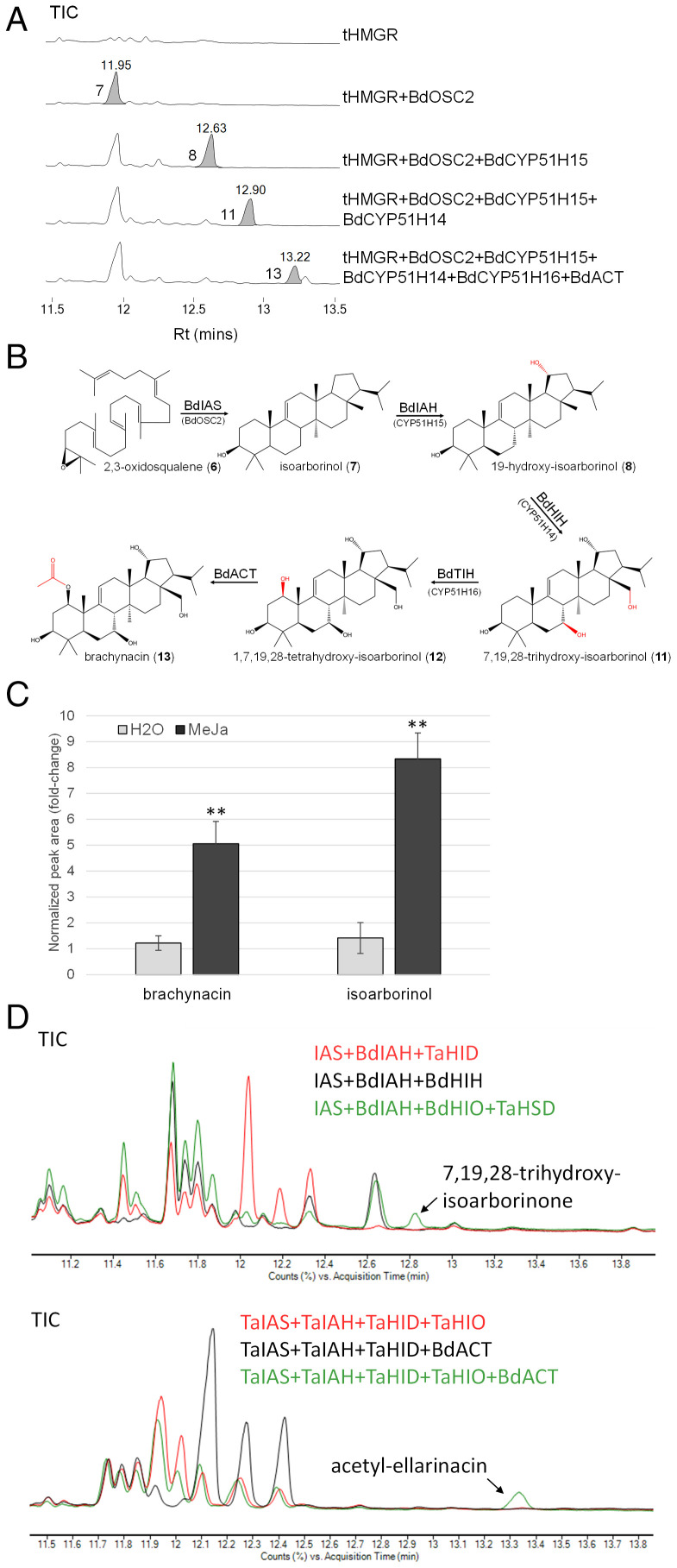 Fig. 6.