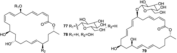 Figure 21