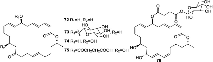 Figure 20