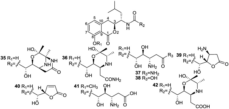 Figure 12