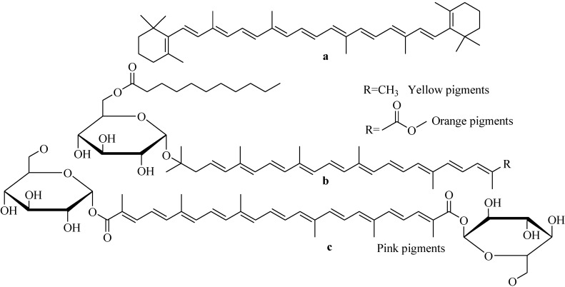 Figure 24