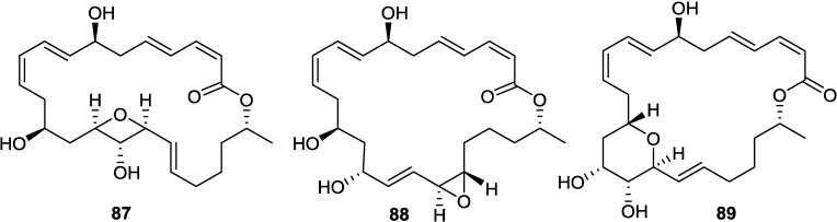 Figure 22