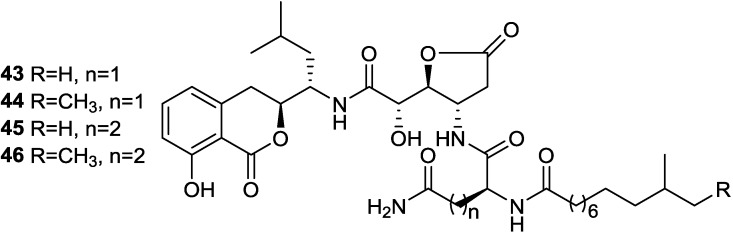 Figure 13