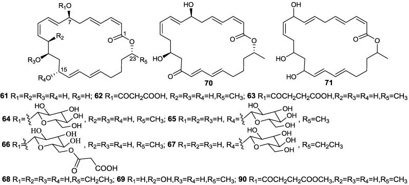 Figure 17