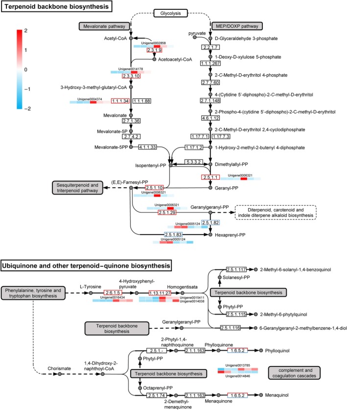 Figure 6