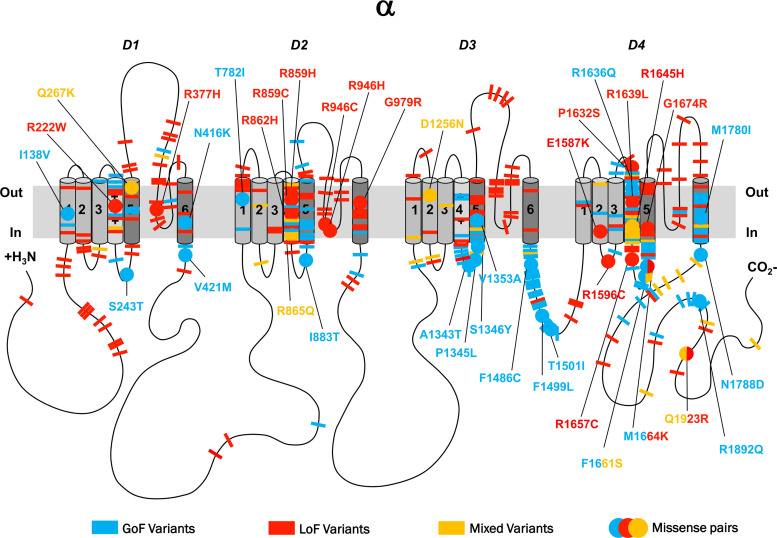 Figure 3