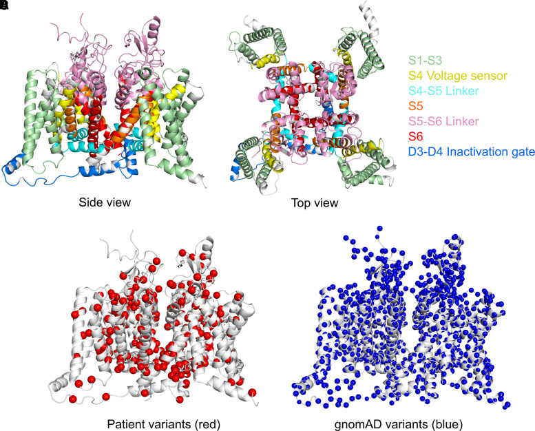 Figure 1