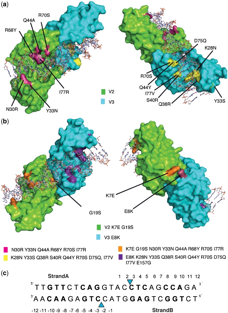 Figure 2.