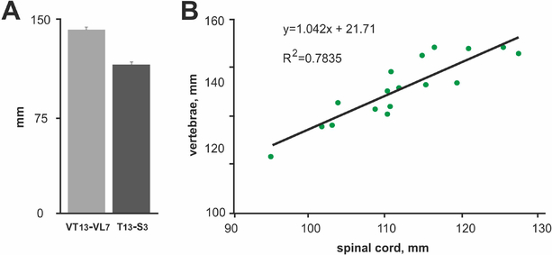 Fig.4.