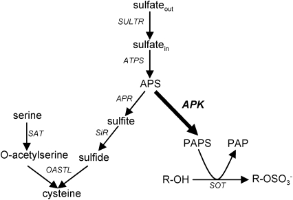 Figure 1.