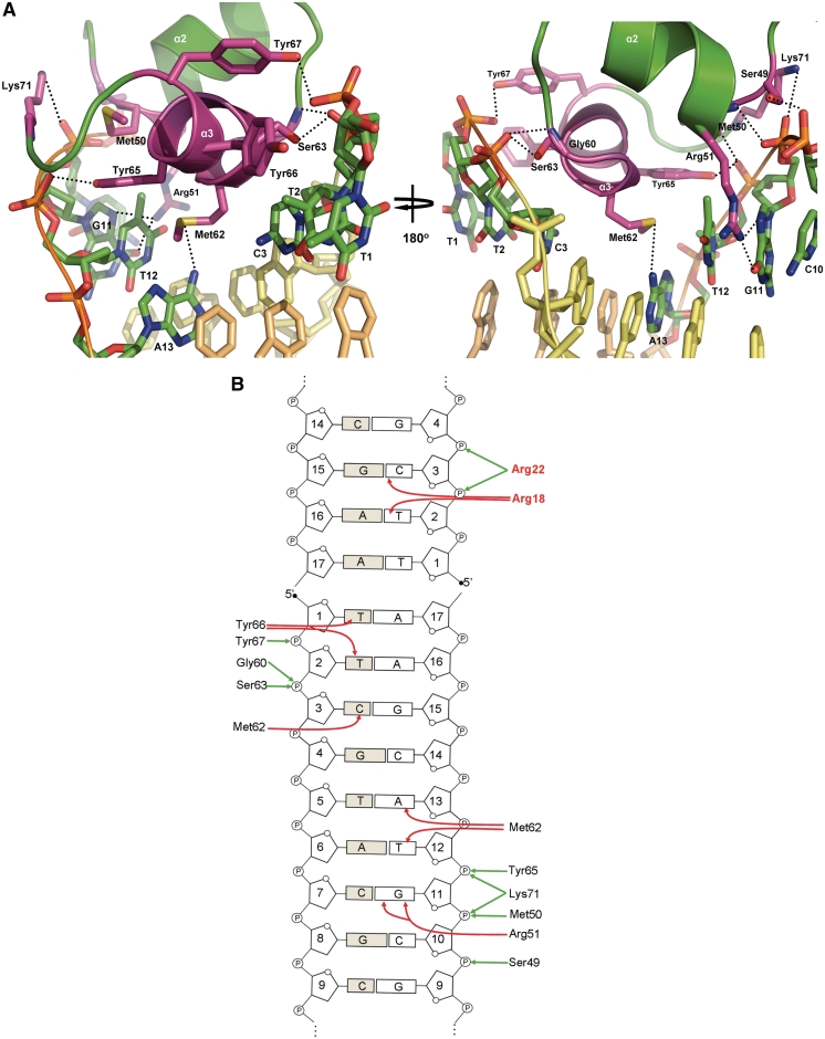 Figure 5.