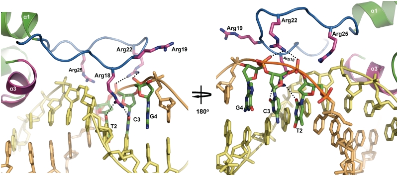 Figure 6.