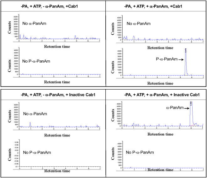 Figure 9