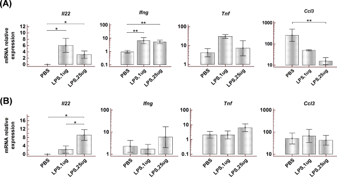 Figure 2.