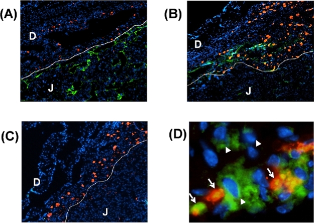 Figure 3.