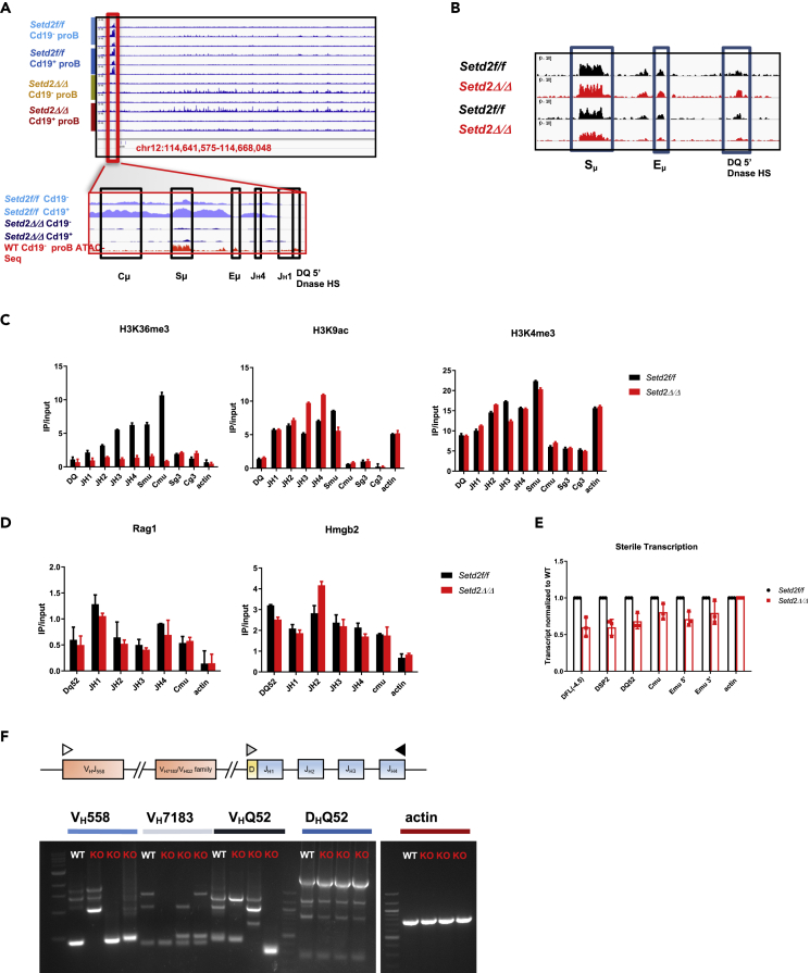 Figure 4