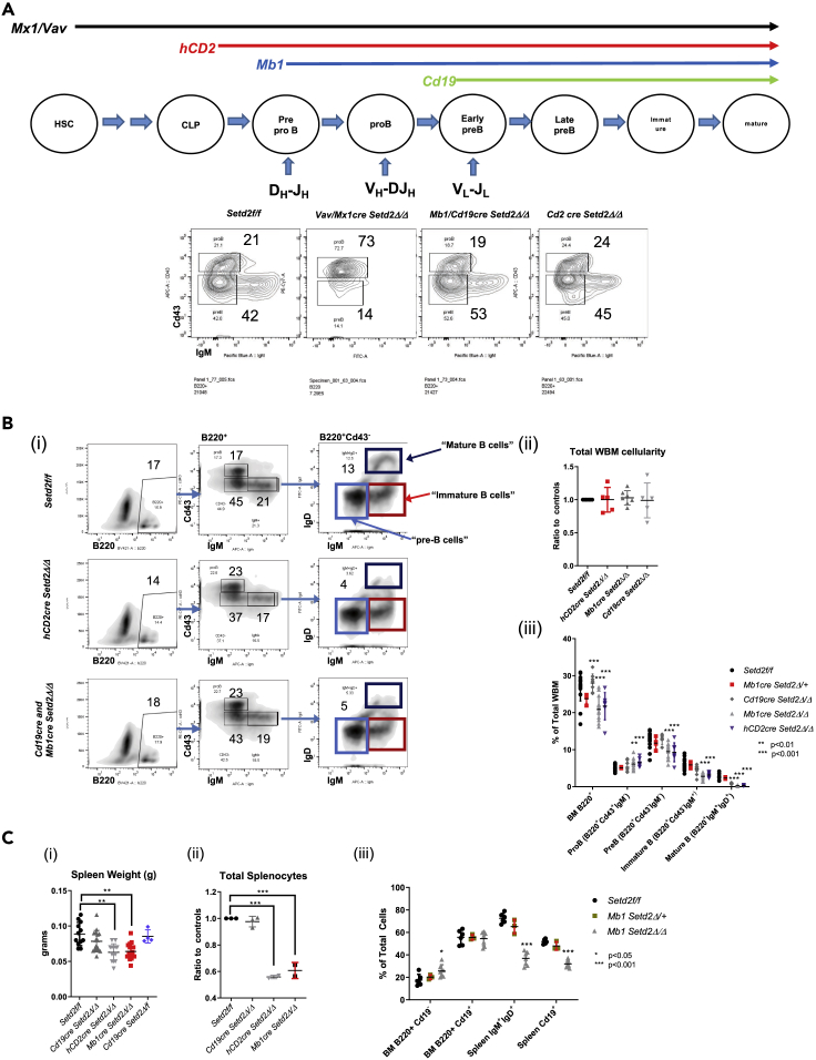 Figure 2