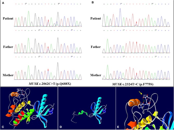 Figure 2