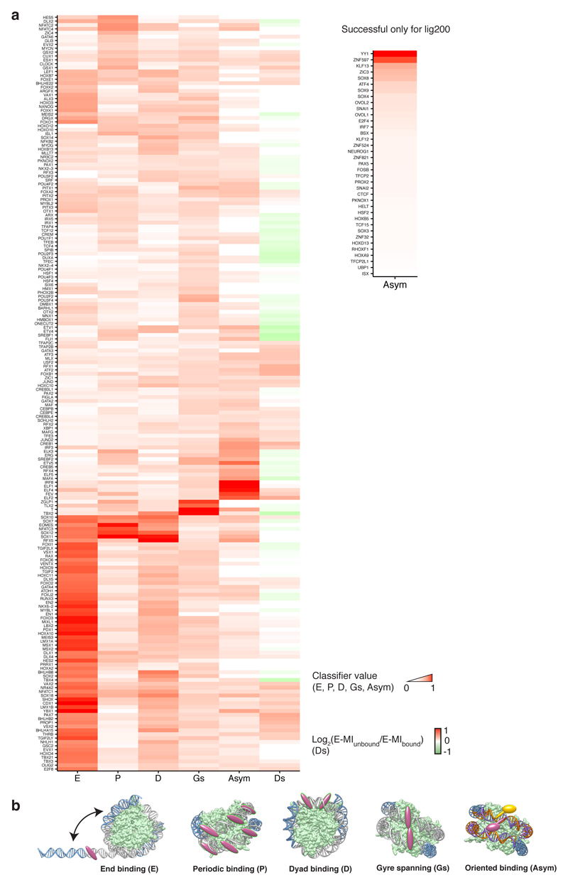 Extended Data Figure 10