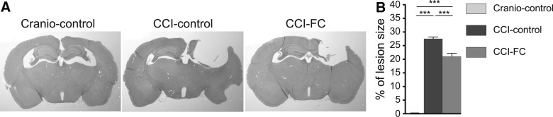 FIG. 3.