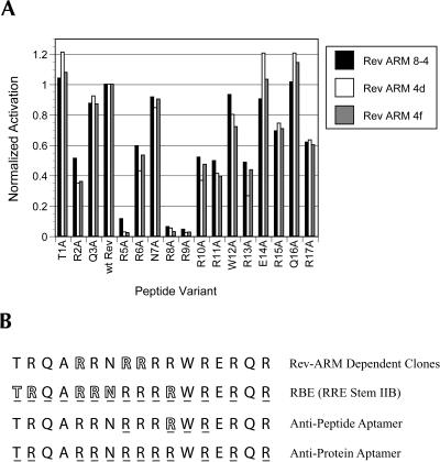 FIGURE 11.