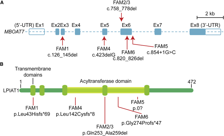 Figure 2