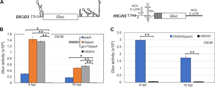 FIG 4