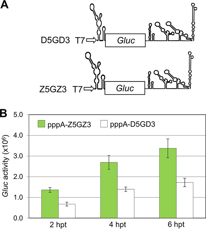 FIG 7