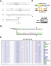 Figure 4—figure supplement 1.