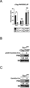 Figure 1—figure supplement 1.