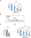 Figure 3—figure supplement 1.