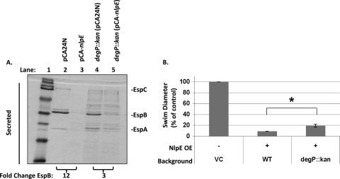 Fig 5