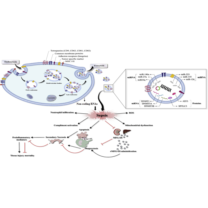 graphic file with name fx1.jpg