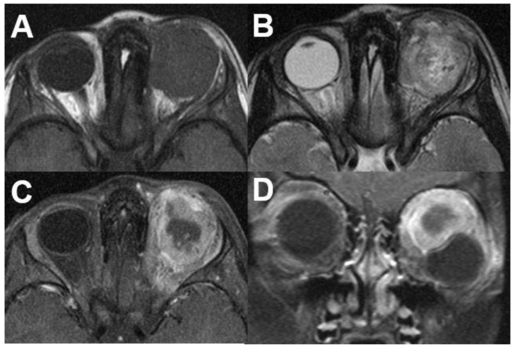 Figure 27