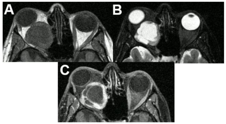 Figure 20