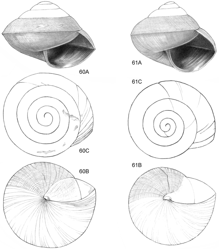 Figure 60–61.