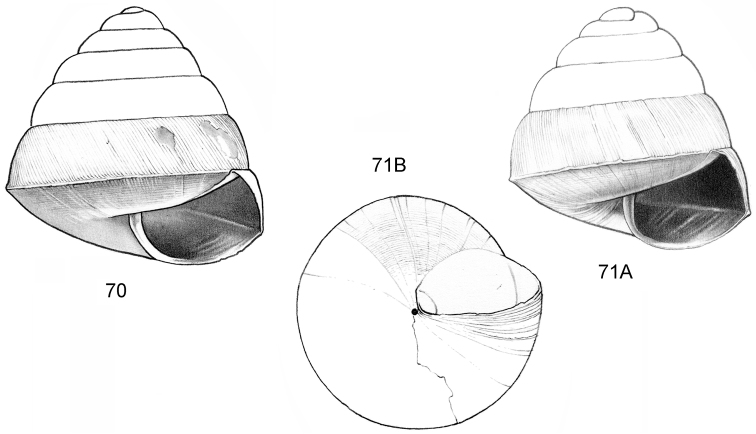 Figure 70–71.